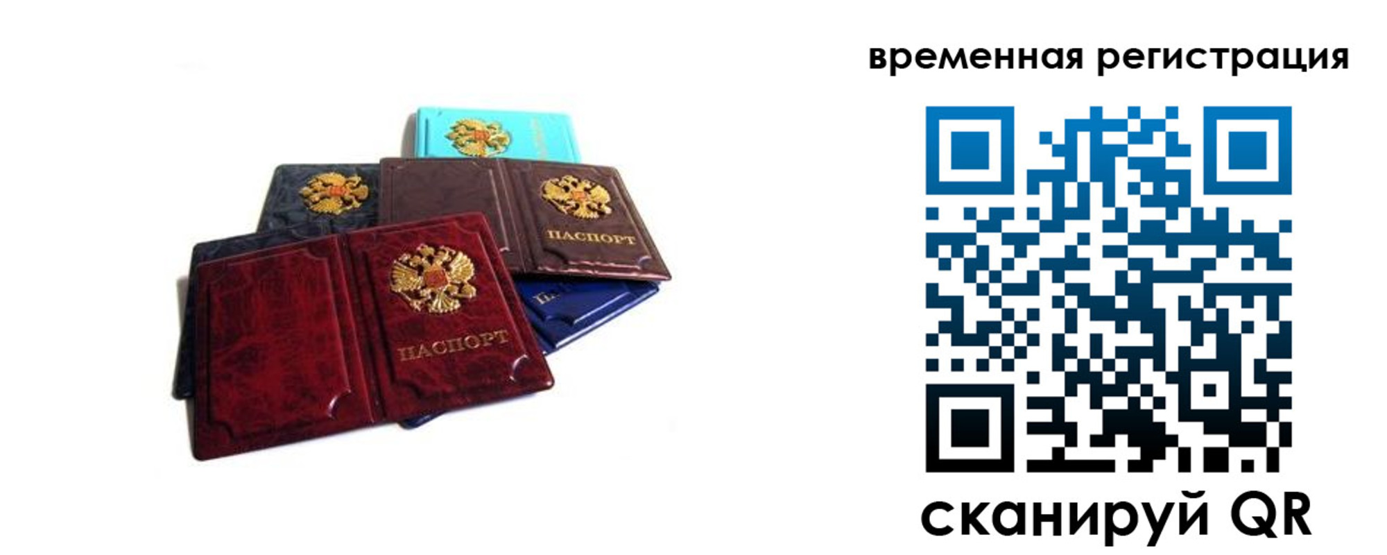прописка гарантия в Дятьково